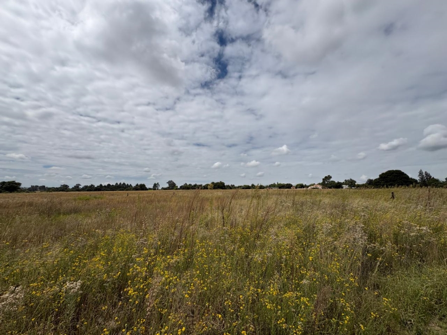 0 Bedroom Property for Sale in Vaalpark Free State